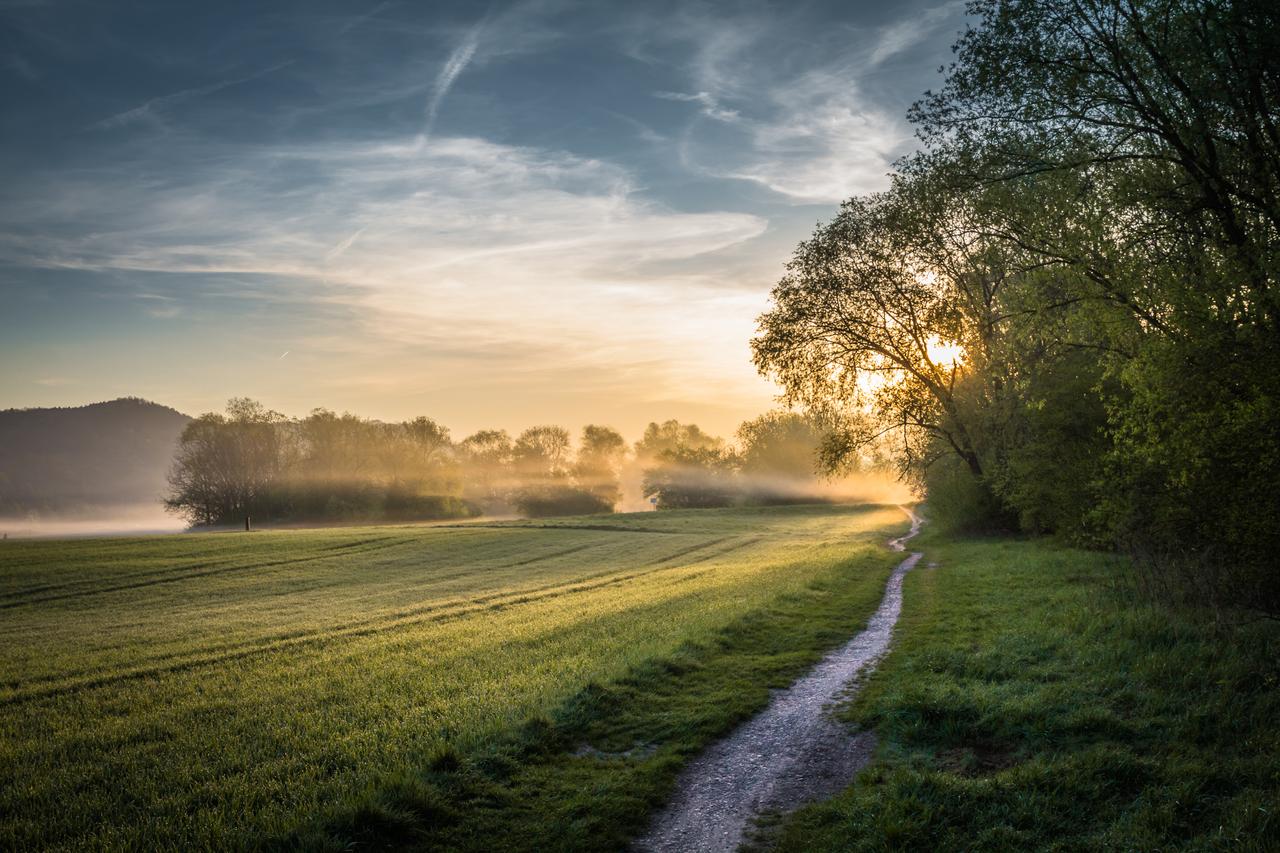 Ackerfläche am Wald