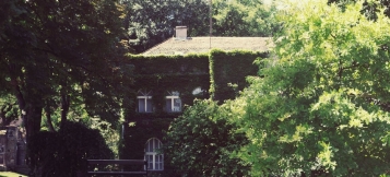 Nachbarschaftsstreit: Die Birken in Nachbars Garten 